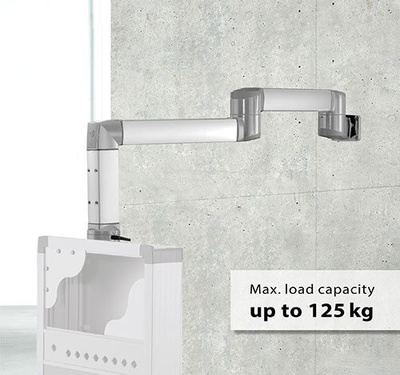 A product image of the BERNSTEIN suspension system CS-3000 with weight specification in english